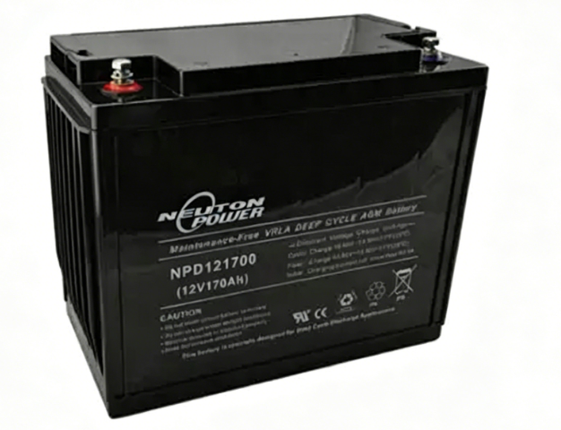 NEUTONPOWER纽顿蓄电池
